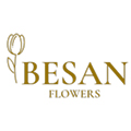 Besan